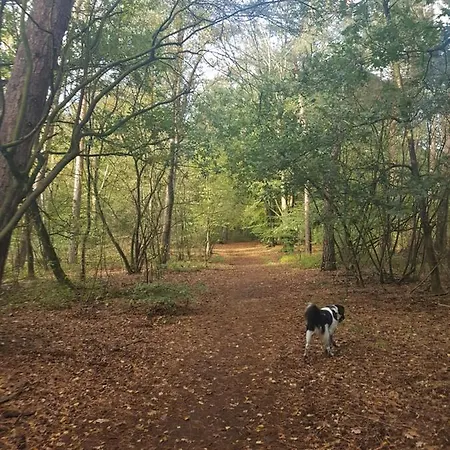 Welcome, Relax And Enjoy Your * Putten