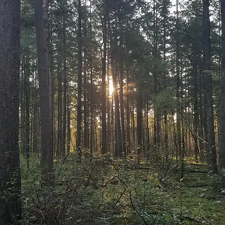 Chalé Welcome, Relax And Enjoy Your Putten