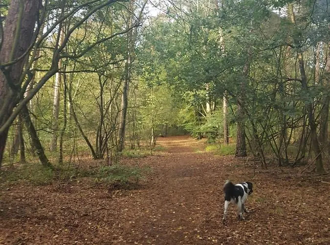 Welcome, Relax And Enjoy Your * Putten