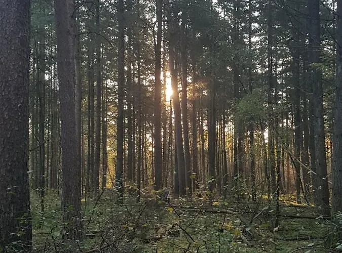 Σαλέ Welcome, Relax And Enjoy Your Putten