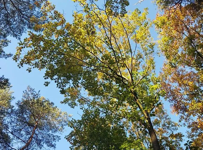 Welcome, Relax And Enjoy Your