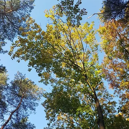 Welcome, Relax And Enjoy Your